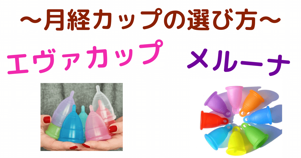 月経カップ愛用歴1年】2個持ちの私がエヴァカップとメルーナを比較 